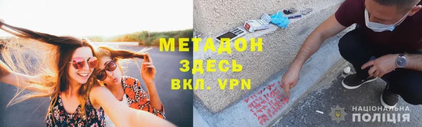 прущие грибы Тавда