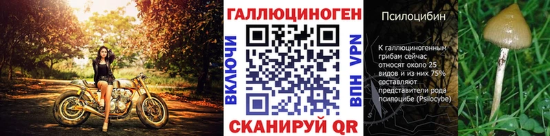 Галлюциногенные грибы MAGIC MUSHROOMS  магазин  наркотиков  Володарск 